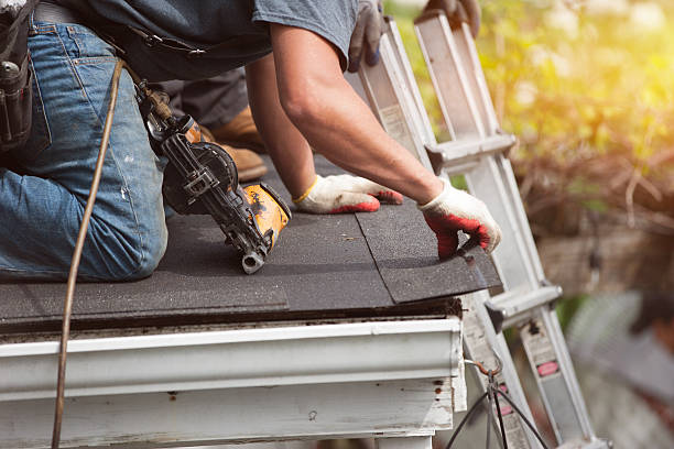 Best Storm Damage Roof Repair  in Lamar, TX